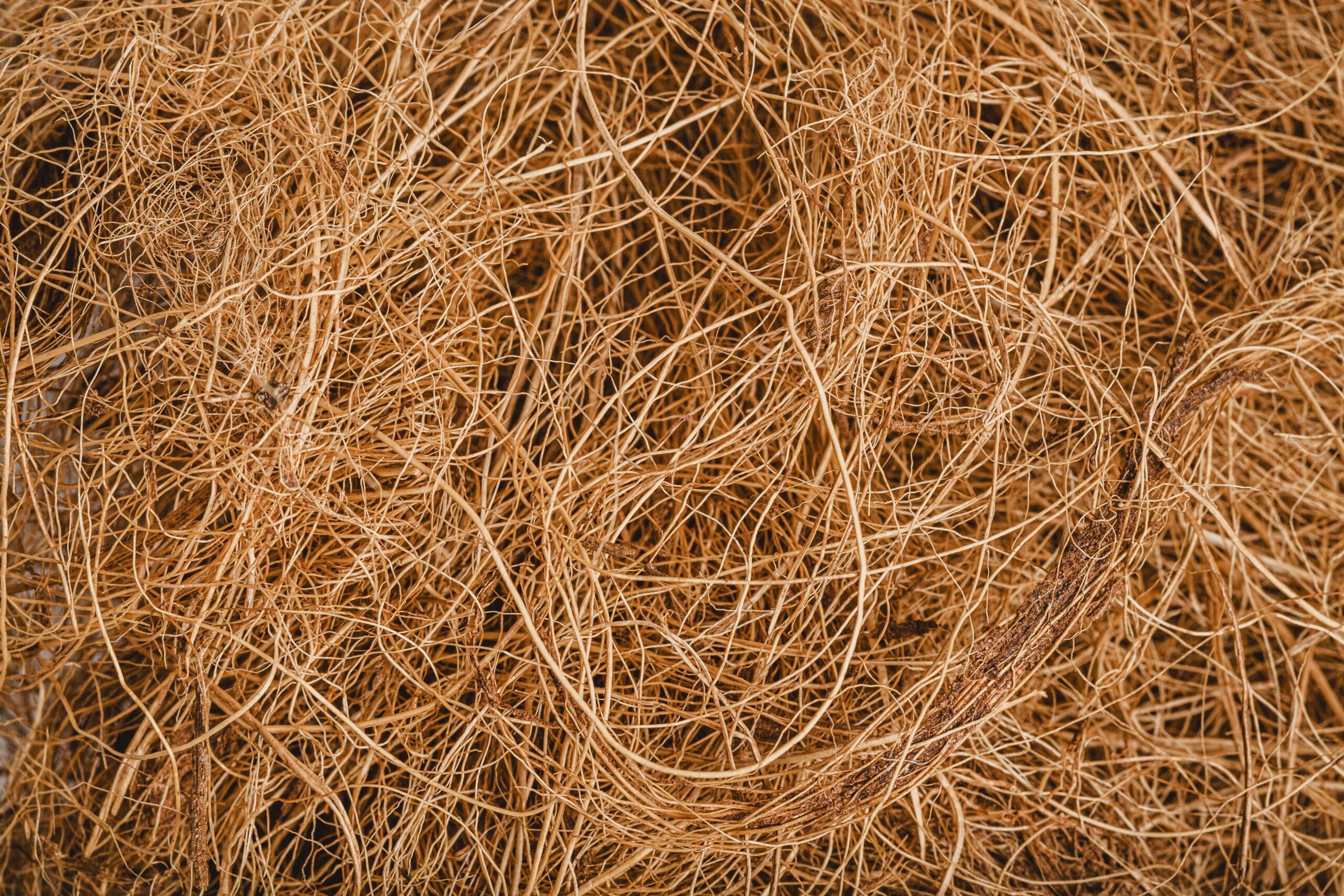 Coir Fibre